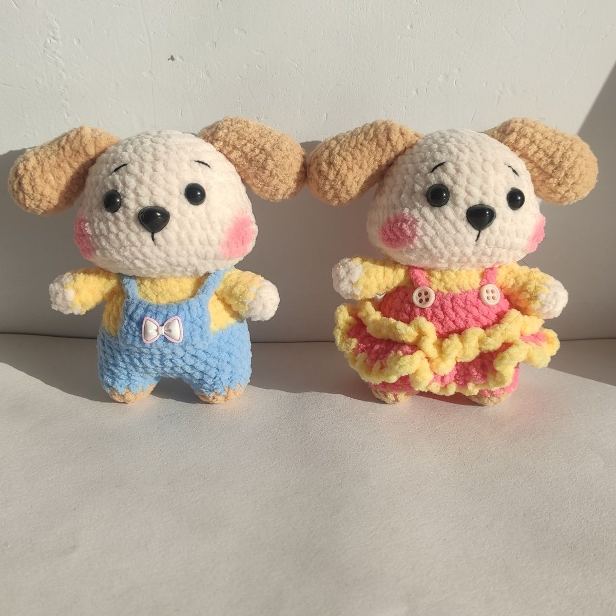 lovely dog couple